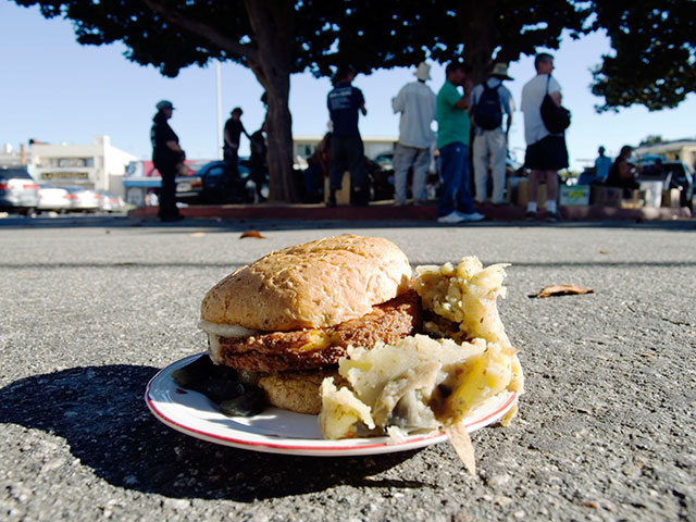 veggie-patty_8-15-07.jpg 